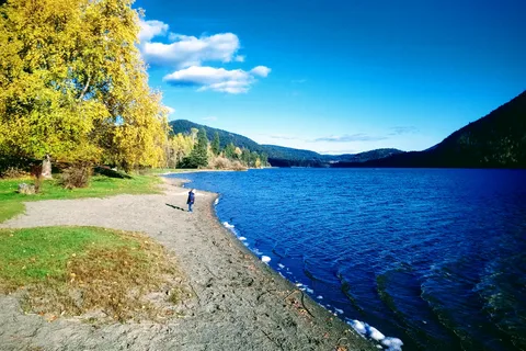 Harrison River RV and Campground