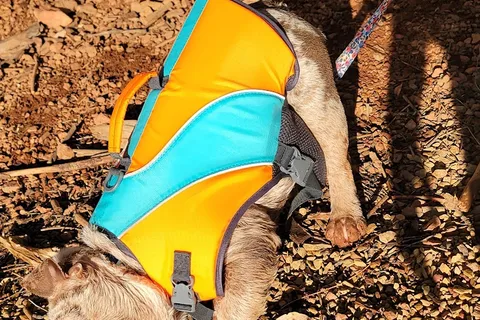 Peninsula Camping and Boating Resort