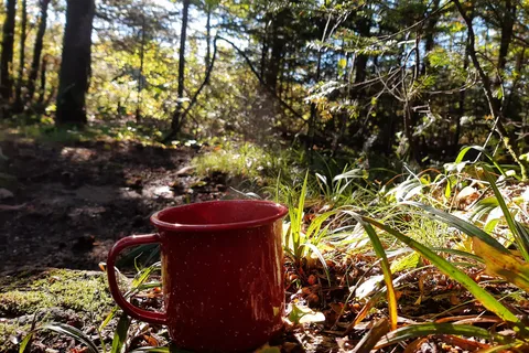 Camping Etsanha