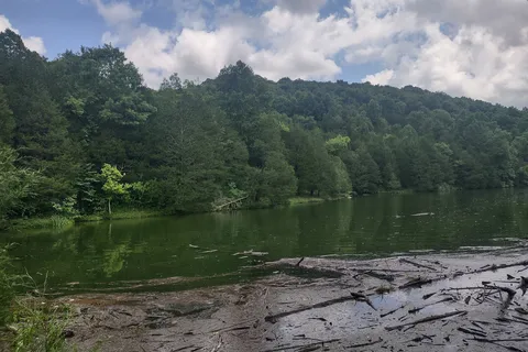 Defeated Creek Marina Campground