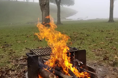 Defeated Creek Marina Campground