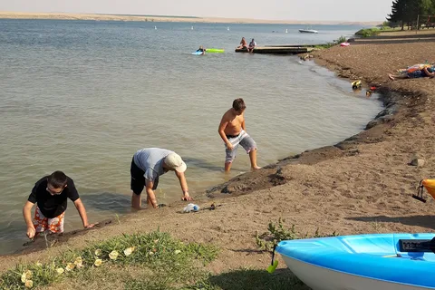 Stafford Lake Resort