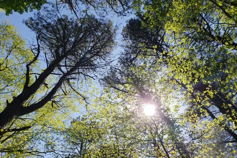 Holly Acres Campground