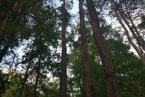 Holly Acres Campground