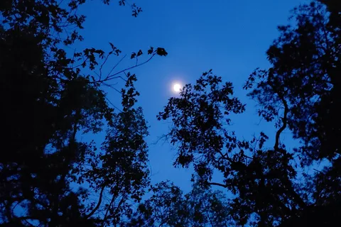 Holly Acres Campground