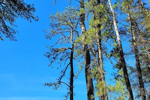 Holly Acres Campground