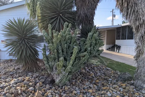 Tropic Winds RV Resort