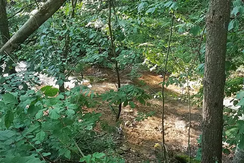 Little Pine State Park