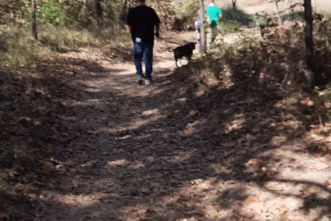 Buggy Whip Horse Camp - South Sulphur- Cooper Lake State Park