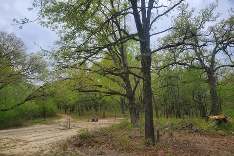 Buggy Whip Horse Camp - South Sulphur- Cooper Lake State Park