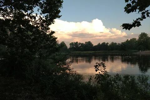 Goldenrod - Two Rivers State Recreation Area