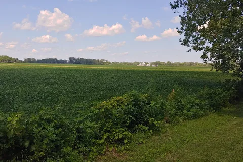 Goldenrod - Two Rivers State Recreation Area