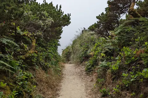 Beachside State Recreation Site