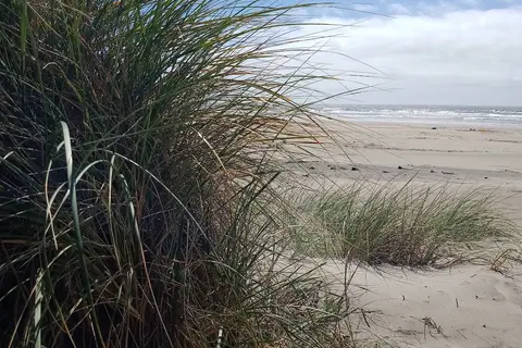 Beachside State Recreation Site