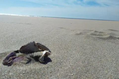 Beachside State Recreation Site