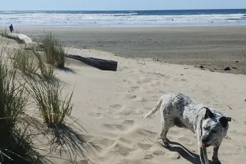 Beachside State Recreation Site