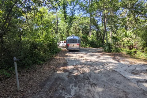 Live Oak - Edisto Beach State Park