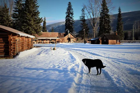Wells Gray Guest Ranch