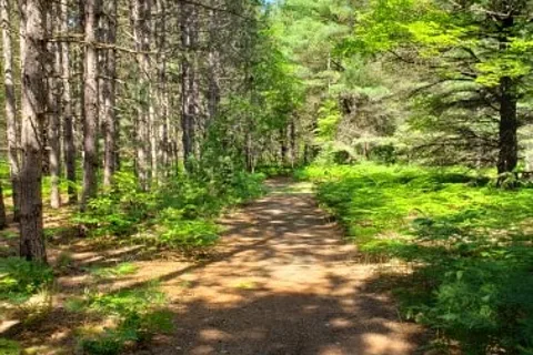 Kalkaska RV Park and Campground