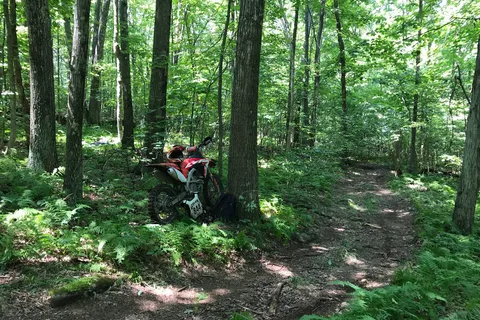 Wolf Den Run State Park