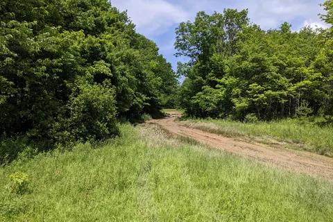 Wolf Den Run State Park