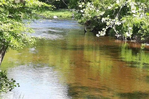 Ruby Campground