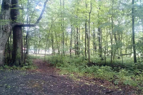 Ruby Campground