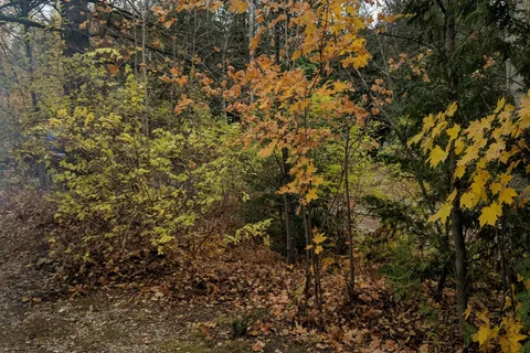 Frontier Wilderness Campground