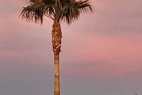 Cotton Lane RV and Golf Resort