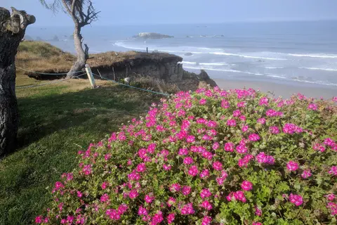 Nesika Beach RV Park