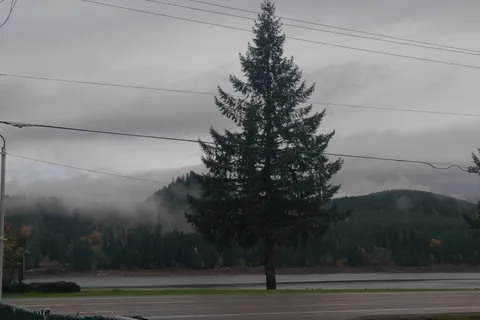 Foster Lake RV Resort