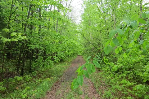 Great Bear Campground