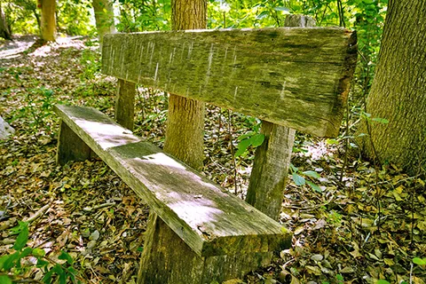 Old Cedar Campground