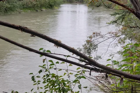 Tok River State Recreation Site