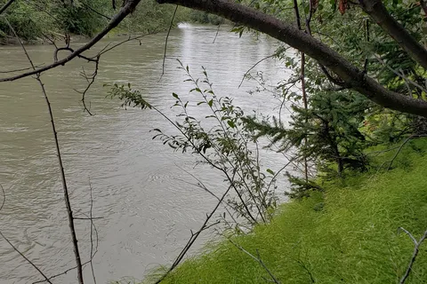 Tok River State Recreation Site