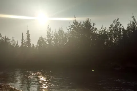 Tok River State Recreation Site