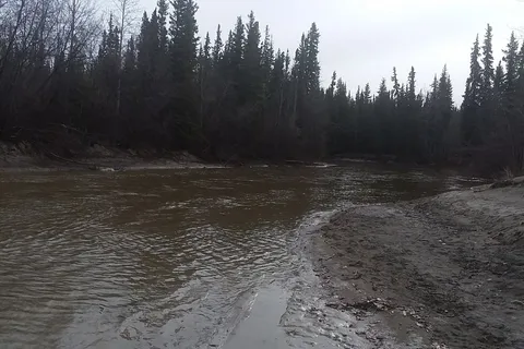 Tok River State Recreation Site