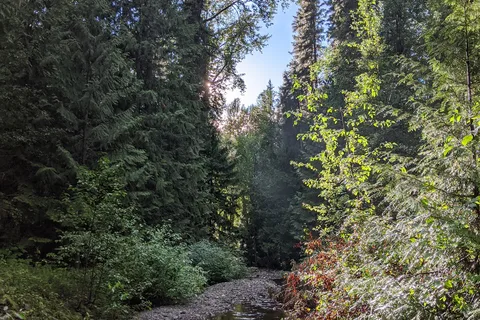 Cedar Point Provincial Park