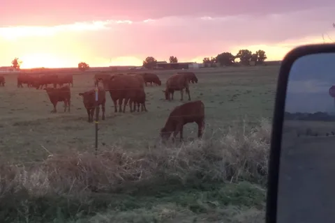 Lamar Sportsmans RV Park and Horse Motel