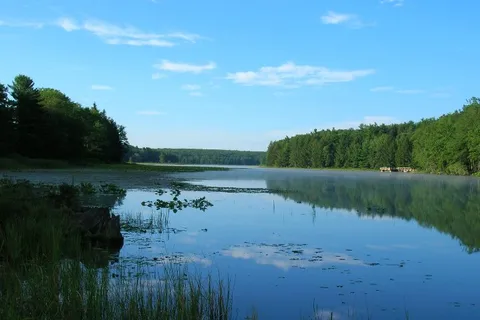 Black Moshannon State Park