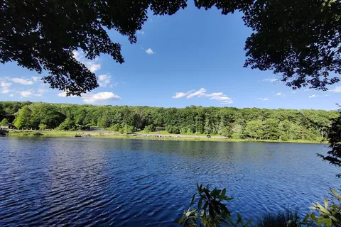 Black Moshannon State Park