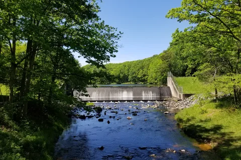 Black Moshannon State Park