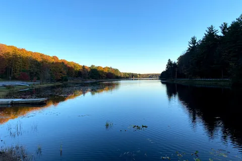 Black Moshannon State Park