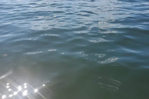 Island View Trailer Resort