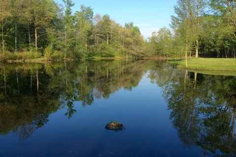 Beaver Meadow Family Campground