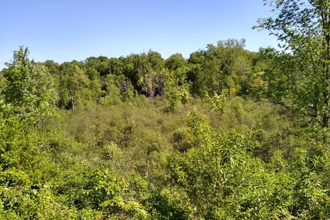 Beaver Meadow Family Campground