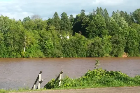 River Pines RV Park and Campgrounds