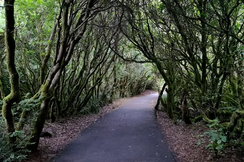 South Beach State Park