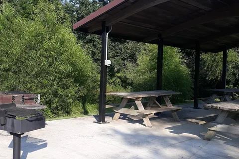 Apple Orchard Primitive - Lost Bridge West State Recreation Area