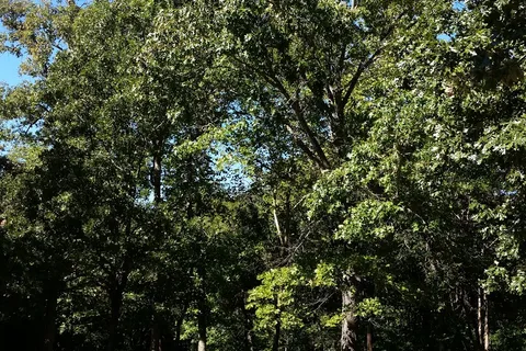 Rogers-Pea Ridge Garden RV and Campground